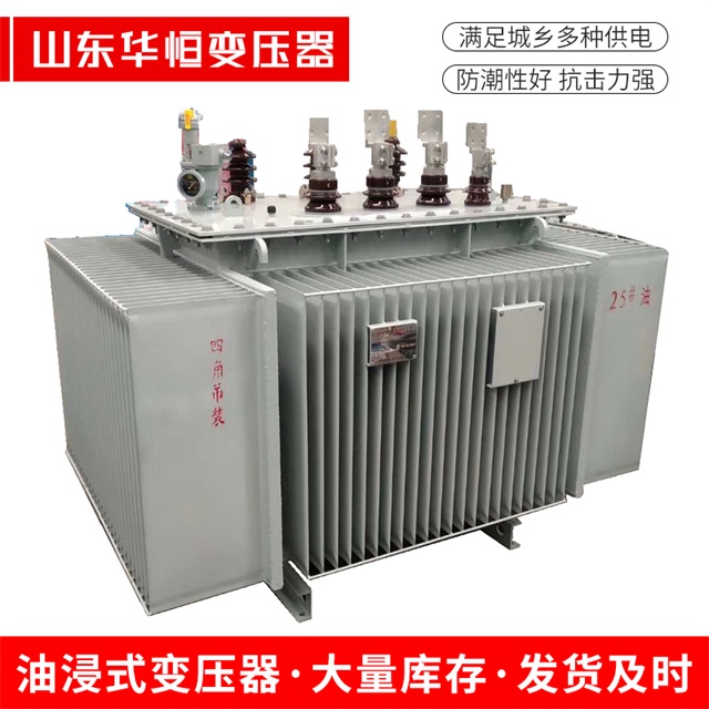 S13-10000/35南皮南皮南皮电力变压器厂家