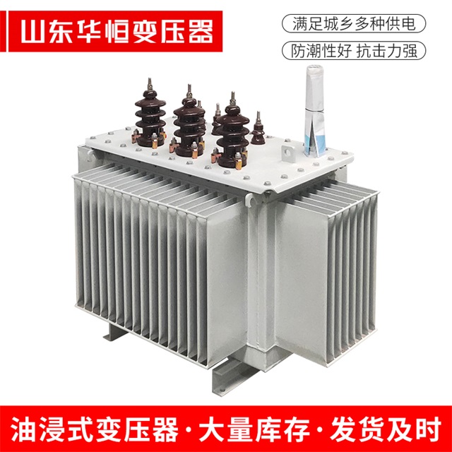 S13-10000/35南皮南皮南皮油浸式变压器厂家